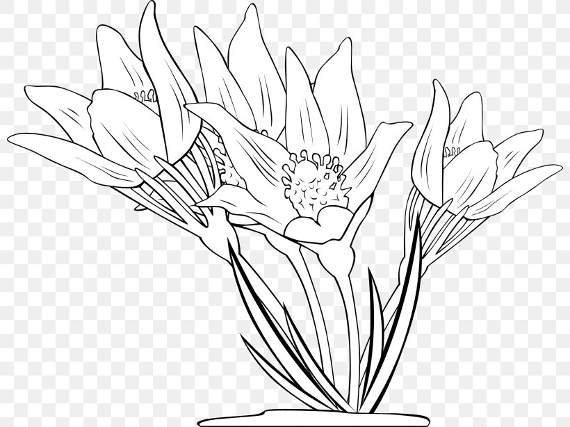 Flower Coloring Book Clip Art, PNG, 800x614px, Flower, Anemone, Artwork, Black And White, Color Download Free