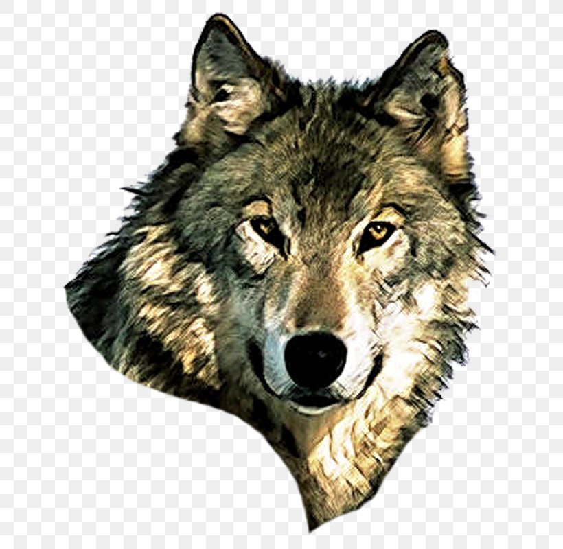 Iberian Peninsula Iberian Wolf Deer Big Bad Wolf, PNG, 690x800px, Iberian Peninsula, Animal, Big Bad Wolf, Bovinae, Canis Download Free