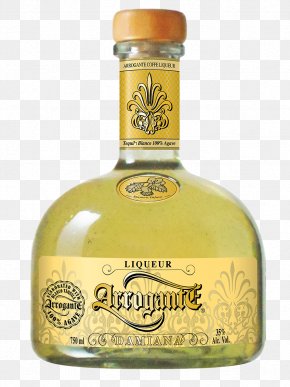 Tequila Margarita - Liqueur Distilled Beverage Triple Sec Tequila Wine PNG