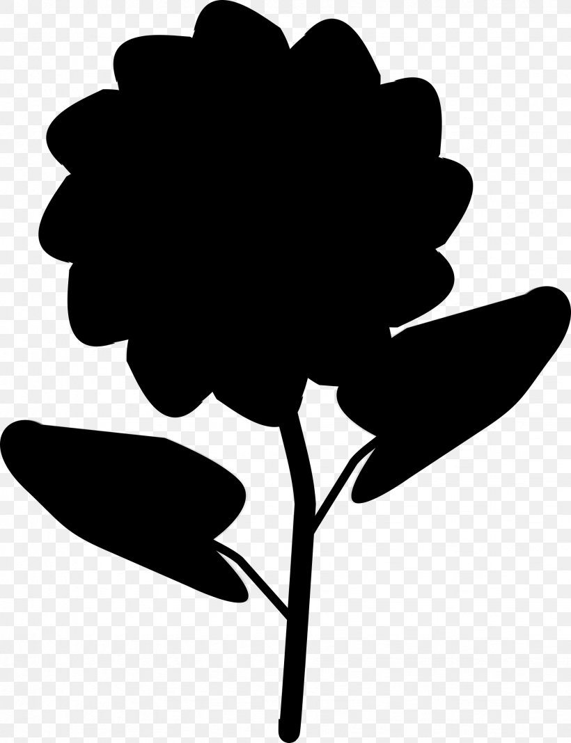 Black & White, PNG, 1841x2400px, Black White M, Black M, Blackandwhite, Botany, Flower Download Free