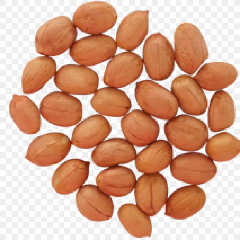 Deep-fried Peanuts Maylari Agro Products Ltd. Boiled Peanuts, PNG, 1024x1024px, Nut, Boiled Peanuts, Commodity, Deepfried Peanuts, Flavor Download Free