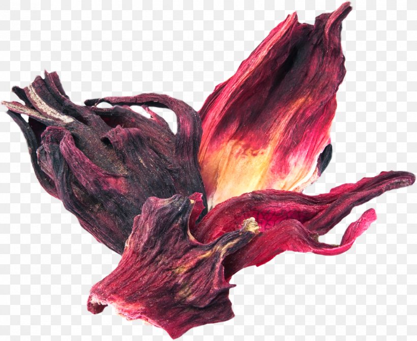 Hibiscus Tea Petal Flower Roselle, PNG, 1378x1129px, Hibiscus Tea, Cardamom, Dried Fruit, Flower, Food Drying Download Free