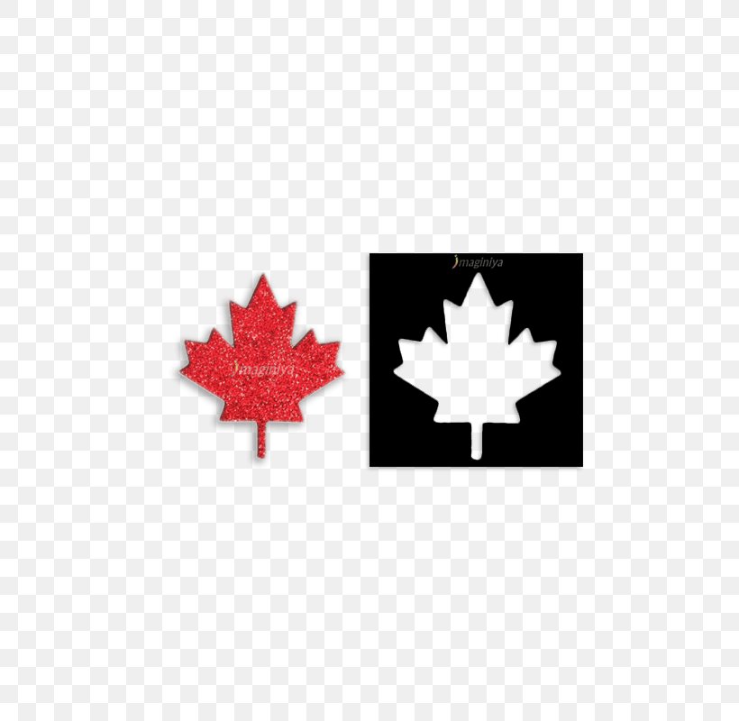 Maple Leaf Stencil Flag Of Canada, PNG, 800x800px, Maple Leaf, Abziehtattoo, Canada, Craft, Drawing Download Free