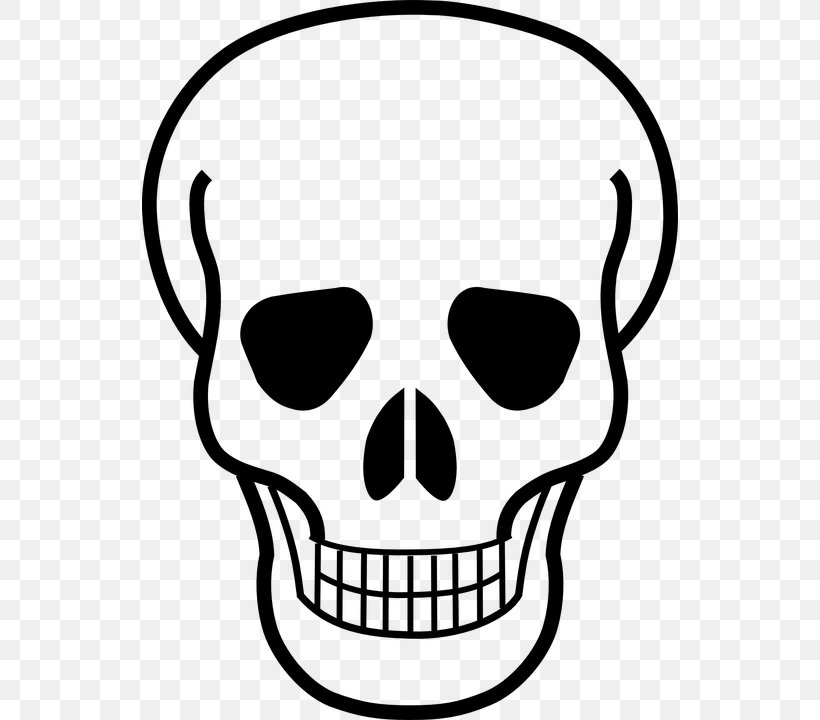 Skull And Bones Skull And Crossbones Human Skull Symbolism, PNG, 536x720px, Skull And Bones, Artwork, Black And White, Bone, Death Download Free