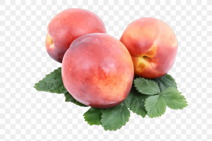 European Plum Peach Fruit Plant Food, PNG, 2448x1632px, European Plum, Food, Fruit, Natural Foods, Nectarines Download Free