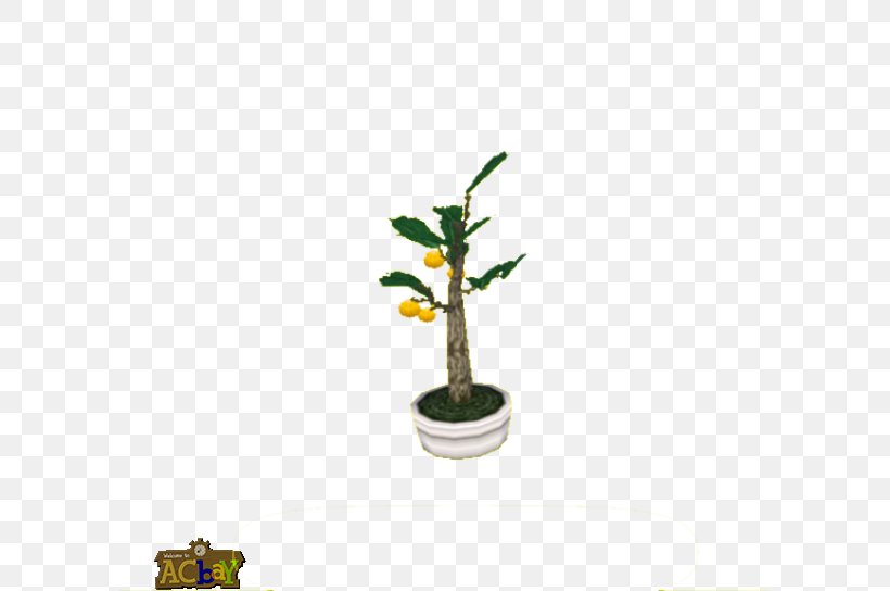 Flowerpot Houseplant Plant Stem, PNG, 600x544px, Flowerpot, Branch, Houseplant, Plant, Plant Stem Download Free