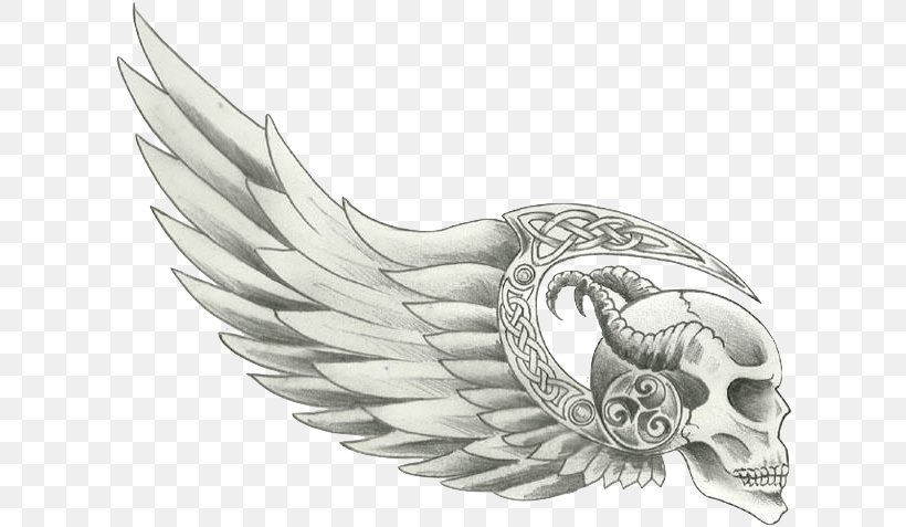 Hells Angels Drawing Motorcycle Club Gang, PNG, 624x477px, Hells Angels, Bandidos Motorcycle Club, Beak, Biker, Bird Download Free