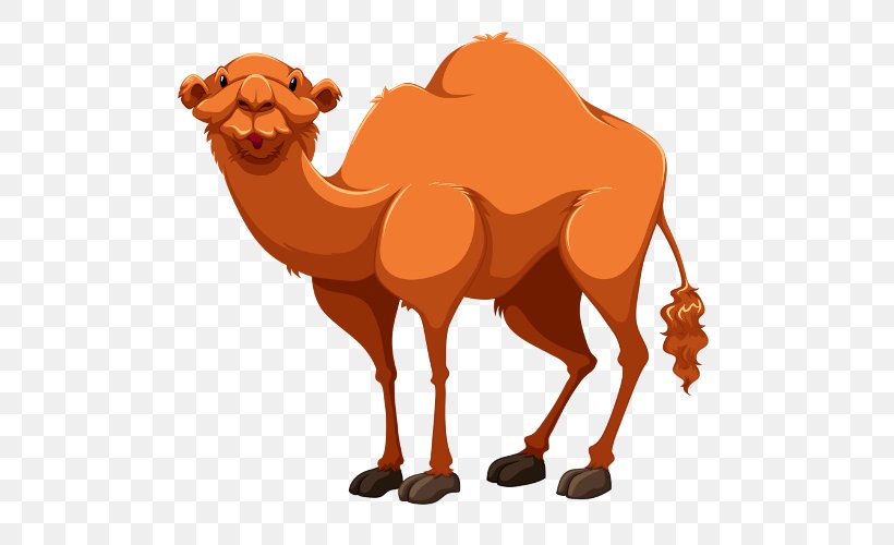 Bactrian Camel Dromedary Clip Art, PNG, 500x500px, Bactrian Camel, Arabian Camel, Camel, Camel Like Mammal, Cattle Like Mammal Download Free