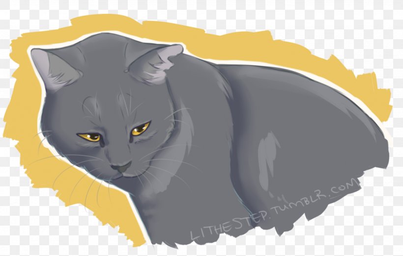 Chartreux Korat Whiskers Kitten Domestic Short-haired Cat, PNG, 1024x652px, Chartreux, Black, Black Cat, Black M, Carnivoran Download Free