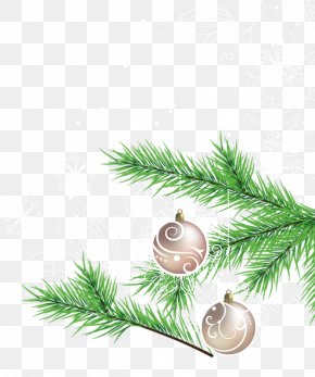 Christmas - Christmas Ornament Christmas Eve Christmas Tree Fir PNG