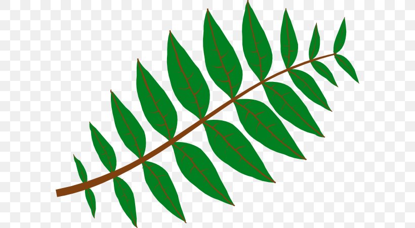 Leaf Plant Jungle Pinnation Clip Art, PNG, 600x451px, Leaf, Arecaceae, Branch, Flora, Grass Download Free