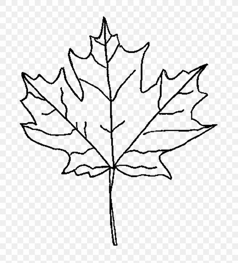 Maple Leaf Drawing Red Maple Clip Art, PNG, 1181x1309px, Maple Leaf, Artwork, Autumn Leaf Color, Black And White, Branch Download Free