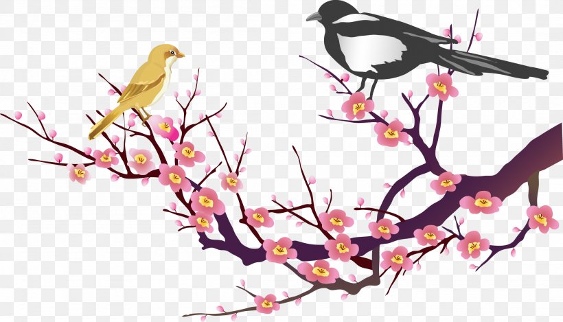 Plum Blossom Clip Art, PNG, 2203x1262px, Plum Blossom, Beak, Bird, Blossom, Branch Download Free