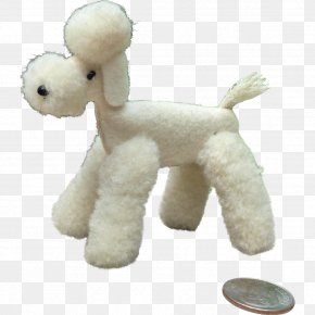 Poodle - Standard Poodle Puppy Companion Dog Dog Breed PNG