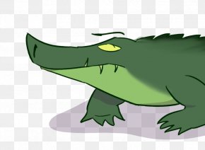 Crocodile - Alligators Crocodile Frog Cartoon Green PNG