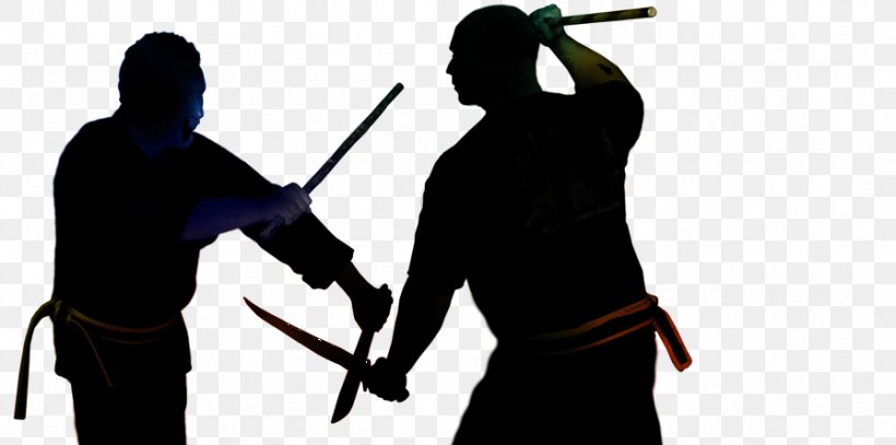 Basic Skills Modern Arnis Martial Arts, PNG, 896x445px, Basic Skills, Arnis, Brazilian Jiujitsu, Experience, Expert Download Free