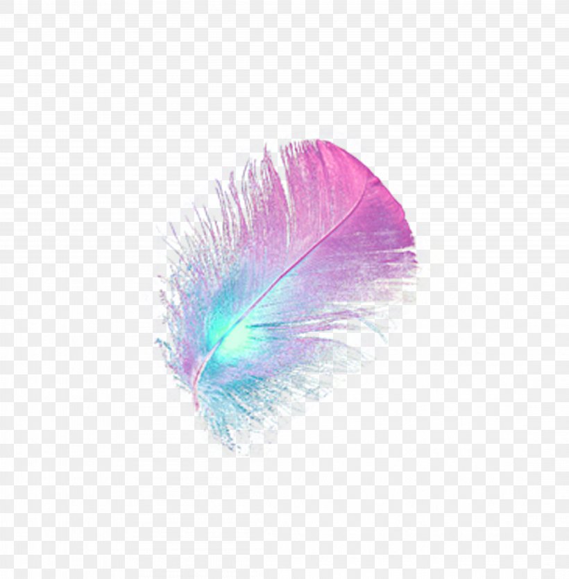 Bird Feather, PNG, 4417x4500px, Bird, Feather, Software, White Feather, Wing Download Free
