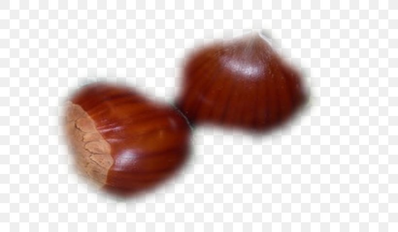 Chestnut, PNG, 640x480px, Chestnut, Ingredient, Praline Download Free