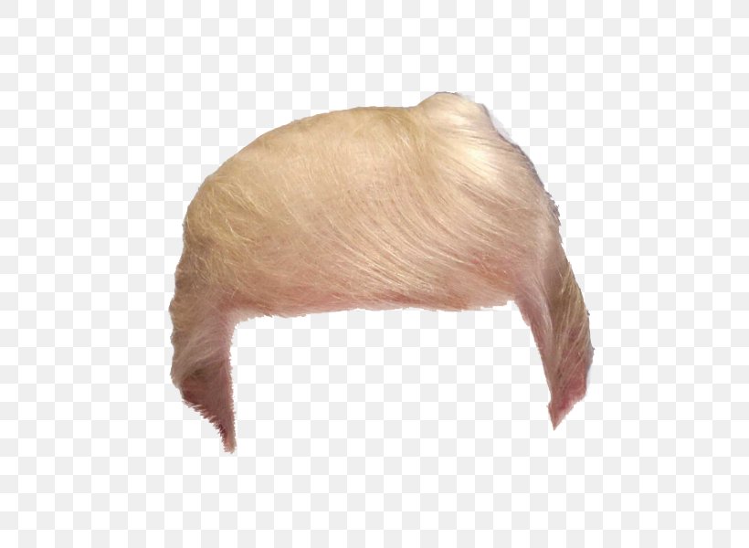 Hair Wig Image Clip Art Make America Great Again, PNG, 600x600px, Hair, Data, Donald Trump, Flag Of Papua New Guinea, Head Download Free