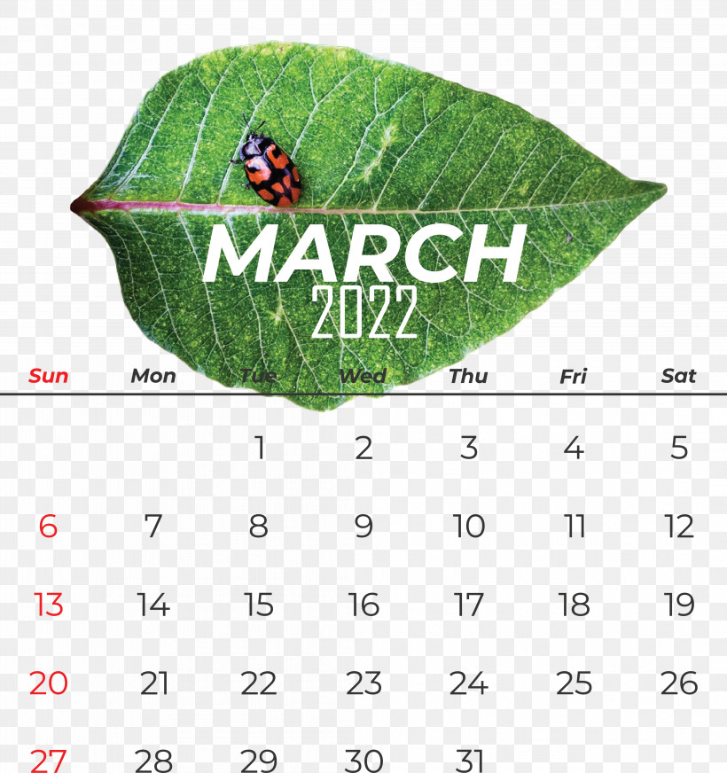 Leaf Calendar Font Meter Science, PNG, 4214x4484px, Leaf, Biology, Calendar, Meter, Plant Download Free