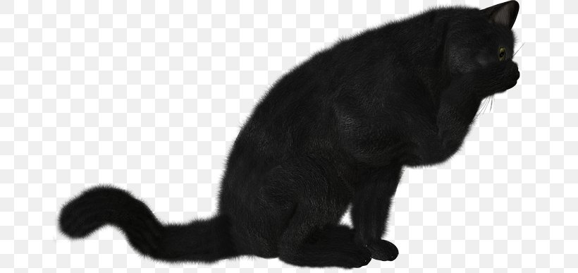 Black Cat Bombay Cat Kitten Domestic Short-haired Cat Whiskers, PNG, 670x387px, Black Cat, Animaatio, Black, Black And White, Bombay Download Free