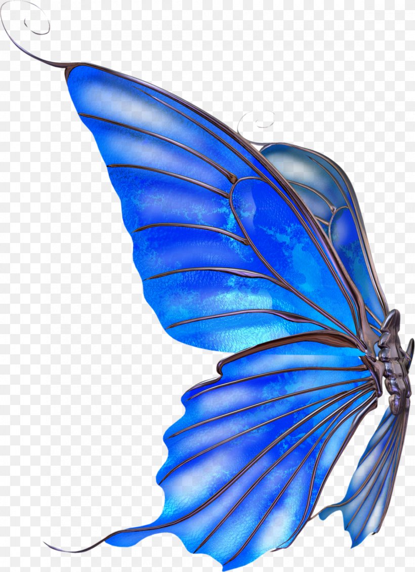 Butterfly Drawing, PNG, 1160x1599px, Butterfly, Animation, Brush Footed Butterfly, Butterflies And Moths, Cobalt Blue Download Free