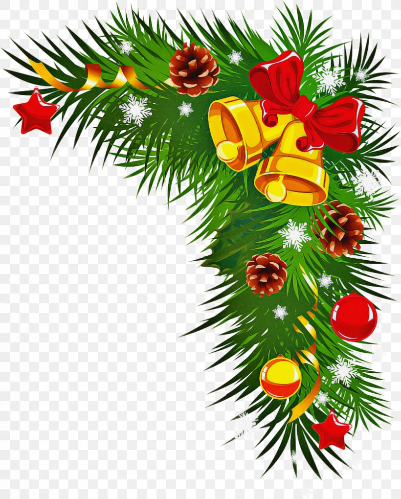 Christmas Tree Branch, PNG, 823x1024px, Floral Design, American Larch ...