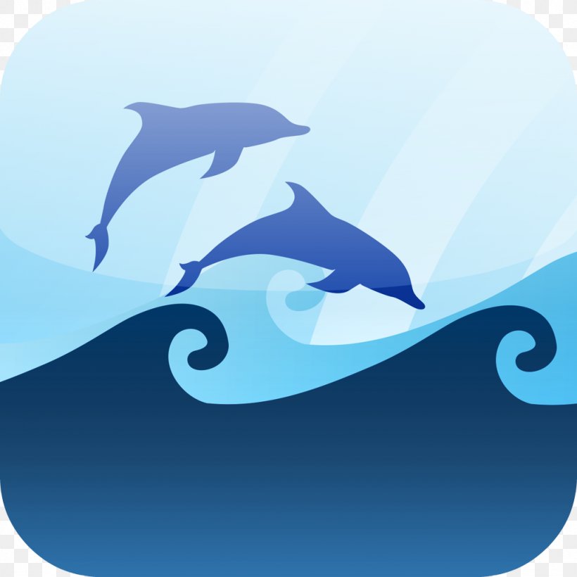 Common Bottlenose Dolphin Wind Wave Seawater Marine Mammal, PNG, 1024x1024px, Common Bottlenose Dolphin, Cetacea, Dispersion, Dolphin, Fin Download Free