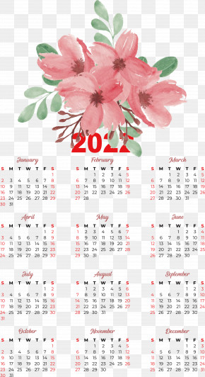 Floral Design PNG