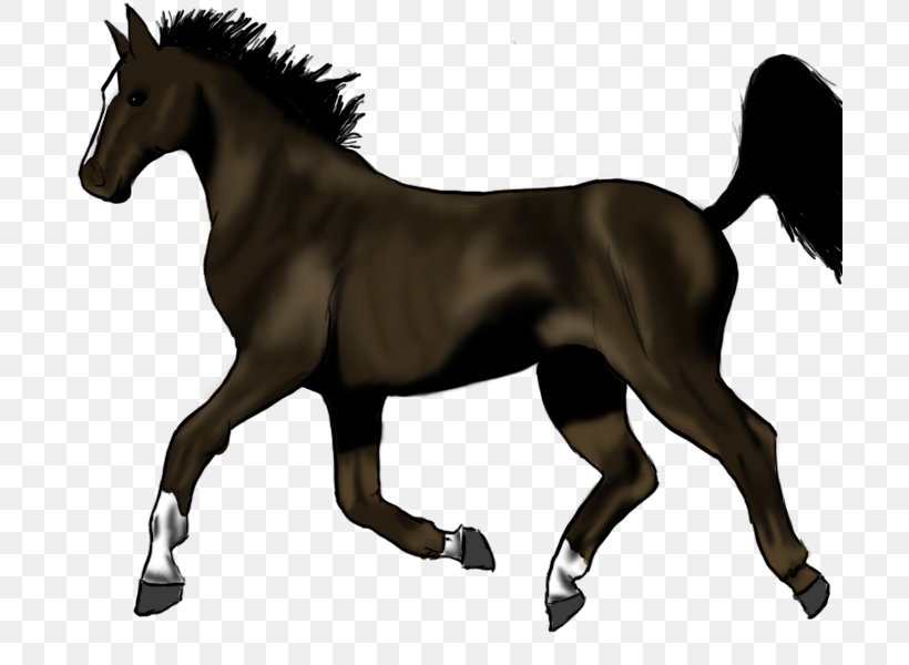 Pony Trot Mane Stallion Thoroughbred, PNG, 700x600px, Pony, Animal Figure, Bridle, Colt, Drawing Download Free