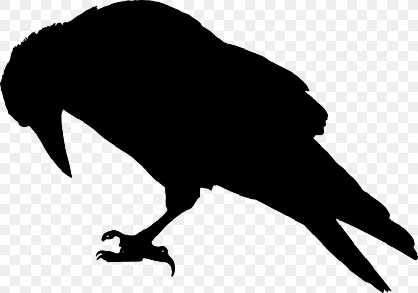 The Raven Common Raven Silhouette Clip Art, PNG, 960x673px, Raven, Beak, Bird, Black And White, Common Raven Download Free