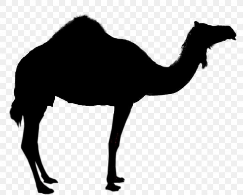 Camel Silhouette Royalty-free Clip Art, PNG, 1280x1024px, Camel, Arabian Camel, Art, Black And White, Camel Like Mammal Download Free