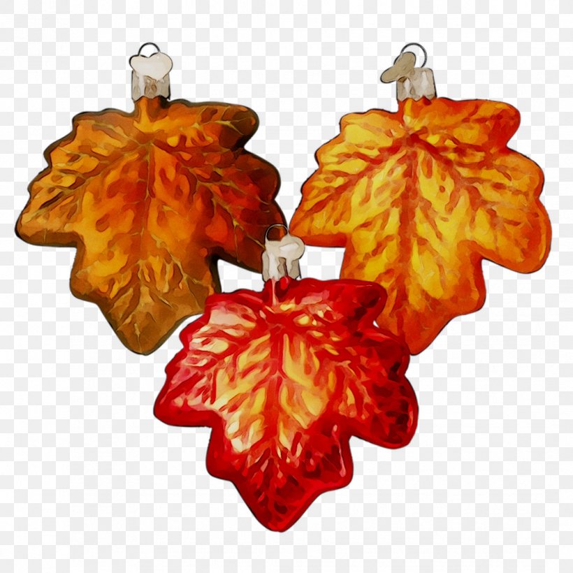 Earring Leaf Christmas Ornament Orange S.A., PNG, 1071x1071px, Earring, Christmas, Christmas Ornament, Earrings, Fashion Accessory Download Free