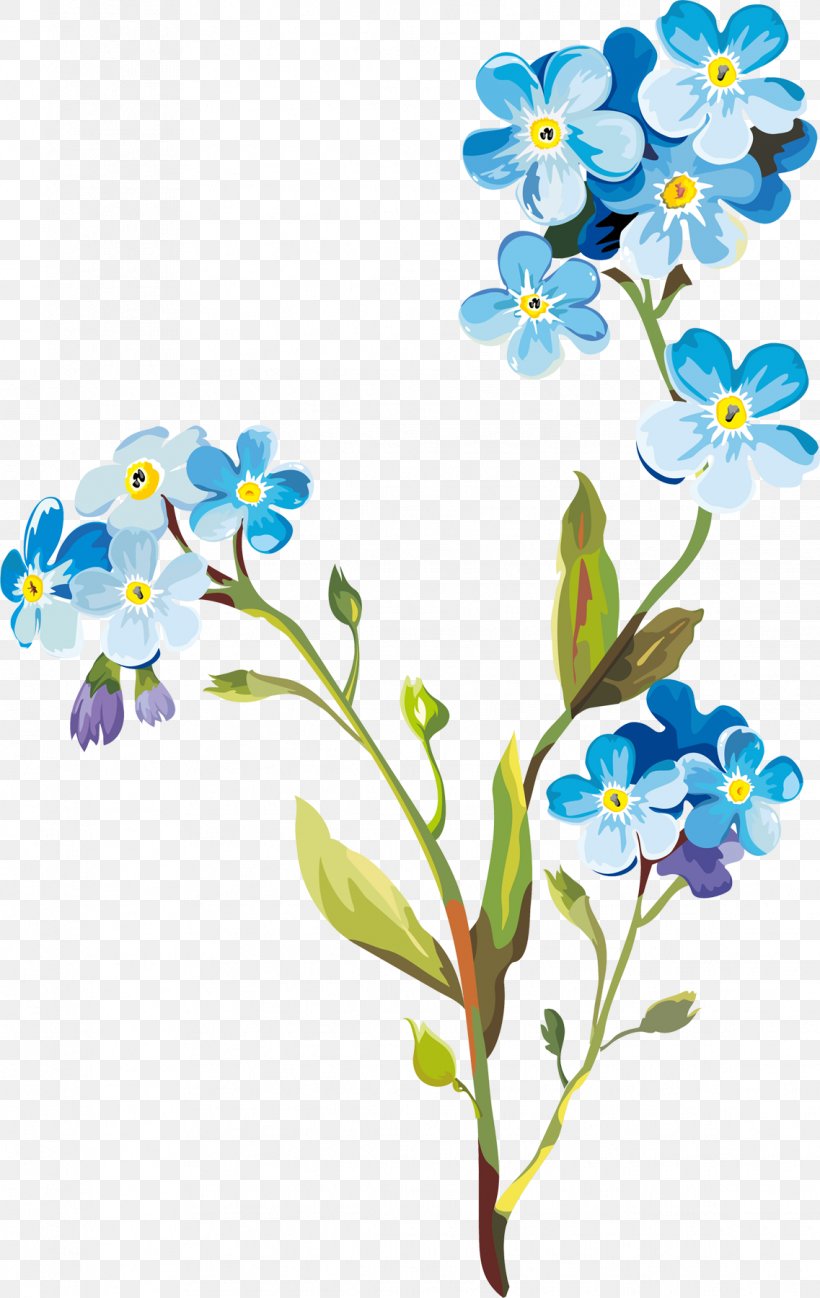 Flower Drawing Clip Art, PNG, 1137x1800px, Flower, Art, Borage Family, Branch, Cut Flowers Download Free