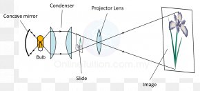 Form 5 Form 4 Center Of Curvature Concave Function Mirror PNG