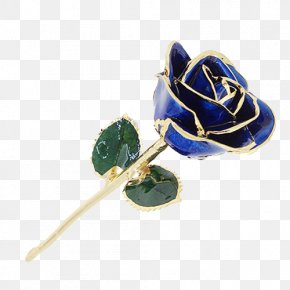 Rose - Garden Roses Blue Rose Gold Sea PNG