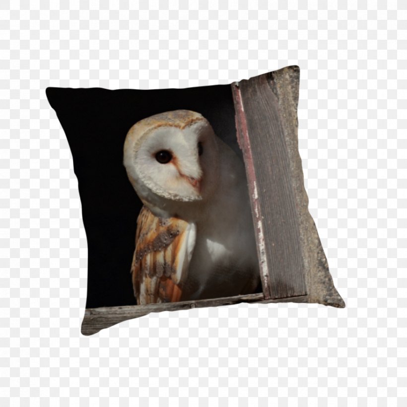 Owl Throw Pillows Cushion Snout, PNG, 875x875px, Owl, Beak, Bird, Bird Of Prey, Cushion Download Free