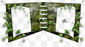 Carte Postale - Tree Leaf PNG