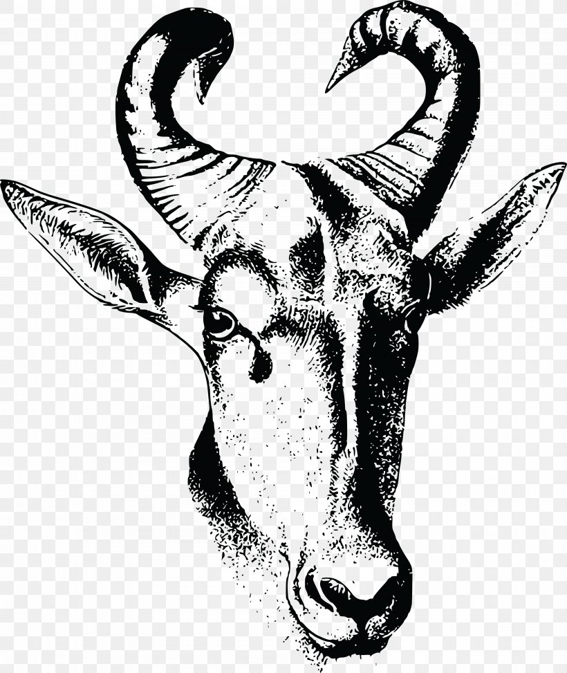 Wildebeest Hartebeest Drawing Image Horn, PNG, 4000x4748px, Wildebeest, Antelope, Blackandwhite, Bovidae, Bovine Download Free