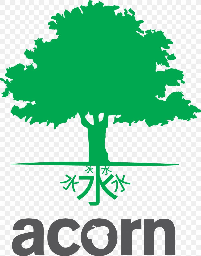 Acorn International Network Pte Ltd Business Organization Limited Company Tree, PNG, 974x1242px, Business, Arboriculture, Area, Artwork, Branch Download Free
