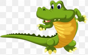 Crocodile - Crocodile Alligator Cartoon PNG