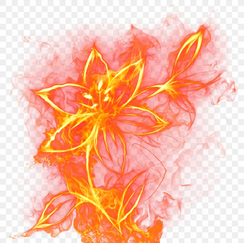 Mario Fire Flower, PNG, 3117x3102px, Fire, Christmas, Combustion, Flame, Flower Download Free
