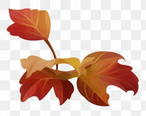Leaf - Petal Leaf Plant Stem Flowering Plant PNG