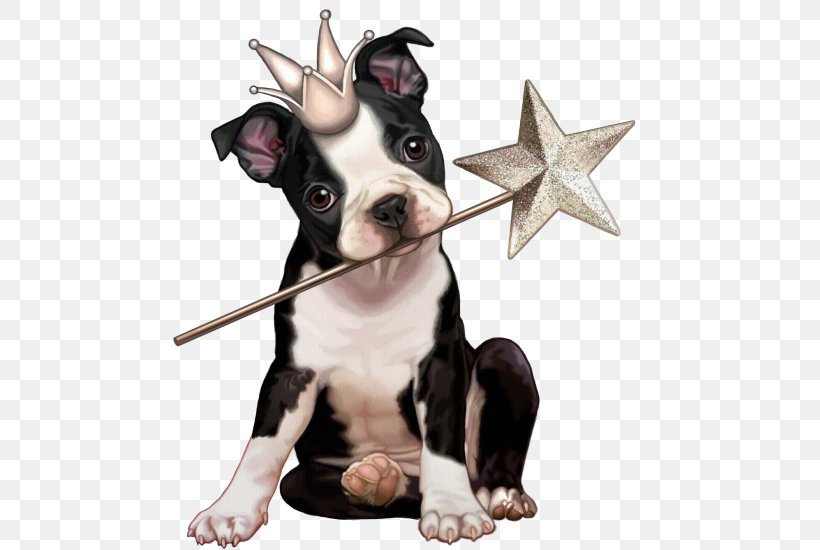 Puppy Boston Terrier Yorkshire Terrier Scottish Terrier Pet, PNG, 625x550px, Puppy, Animal, Boston Terrier, Carnivoran, Christmas Download Free