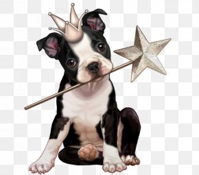 Puppy - Puppy Boston Terrier Yorkshire Terrier Scottish Terrier Pet PNG