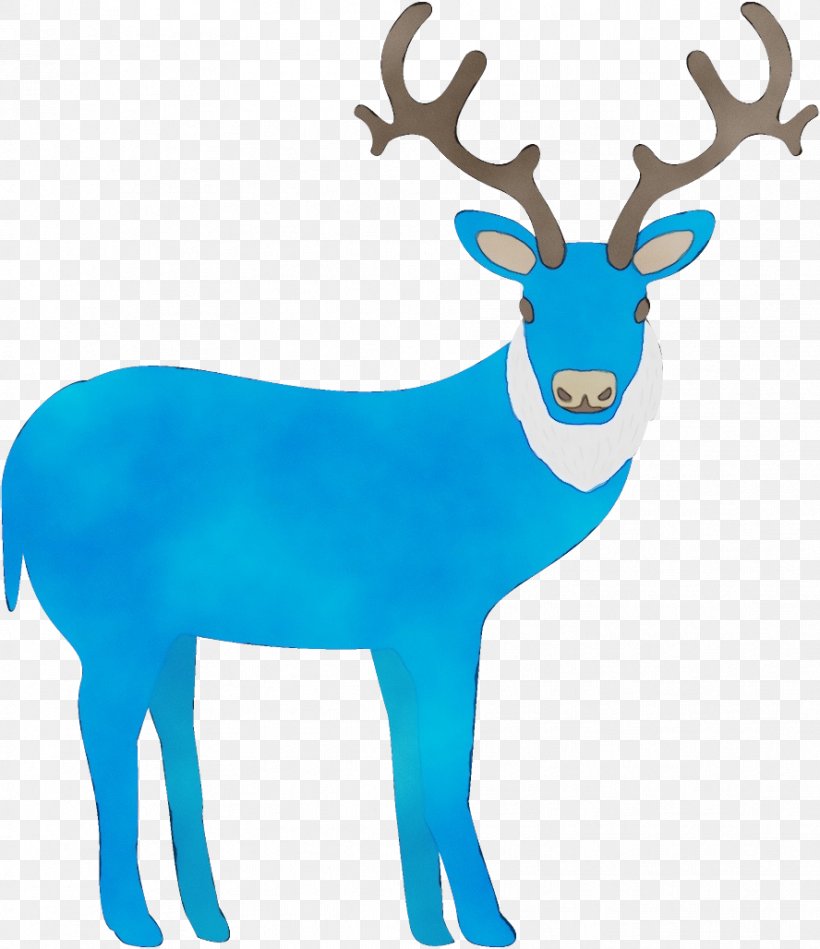 Reindeer, PNG, 888x1028px, Watercolor, Antler, Deer, Elk, Horn Download Free