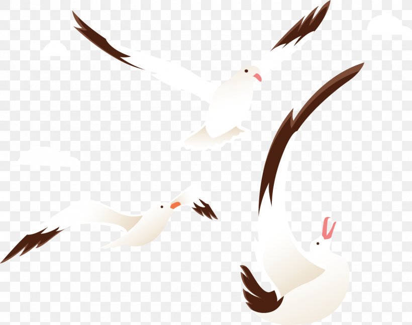 Beak Goose Bird Cygnini Duck, PNG, 1270x1001px, Beak, Anatidae, Bird, Cygnini, Duck Download Free