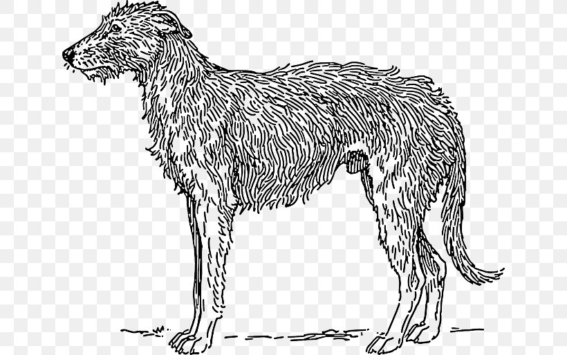 Scottish Deerhound Borzoi Basset Hound Clip Art, PNG, 640x513px, Scottish Deerhound, American Staghound, Animal Figure, Basset Hound, Black And White Download Free