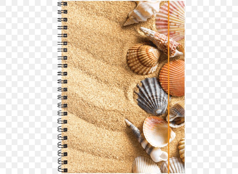 Stock Photography Sand Royalty-free, PNG, 600x600px, Photography, Clam, Cockle, Depositphotos, Gunshot Download Free