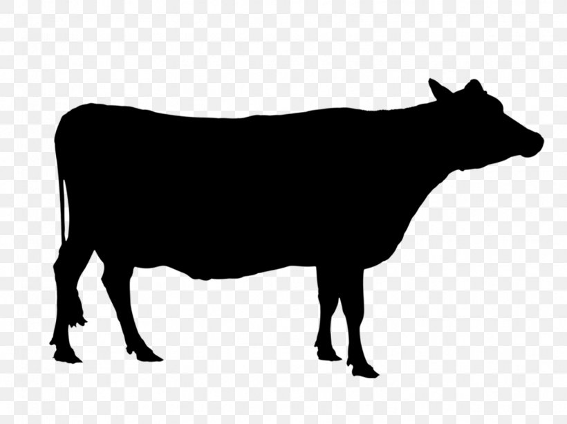 Angus Cattle Texas Longhorn Holstein Friesian Cattle Calf Beef Cattle ...